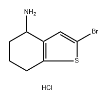 2-bromo-4,5,6,7-tetrahydro-1-benzothiophen-4-amine hydrochloride Structure