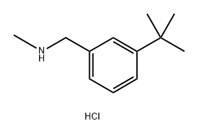 (3-tert-butylphenyl)methyl](methyl)amine hydrochloride Structure