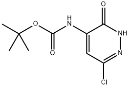 INDEX NAME NOT YET ASSIGNED Structure