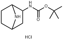 7-氮杂双环[2.2.1]庚-2-基氨基甲酸叔丁酯盐酸盐 结构式