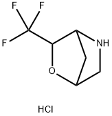 2-Oxa-5-azabicyclo[2.2.1]heptane, 3-(trifluoromethyl)-, hydrochloride (1:1) Struktur