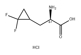 (2R)-2-氨基-3-(2,2-二氟环丙基)丙酸盐酸盐, 2703751-44-2, 结构式