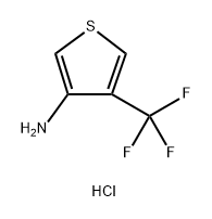 3-Thiophenamine, 4-(trifluoromethyl)-, hydrochloride (1:1) Struktur