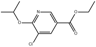 Ethyl 5-chloro-6-(1-methylethoxy)-3-pyridinecarboxylate Struktur