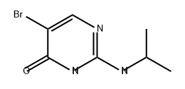 2758900-46-6 5-溴-2-(异丙基氨基)嘧啶-4(3H)-酮