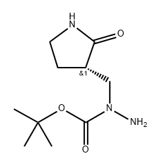2762109-56-6 (S)-叔丁基 1-((2-氧代吡咯烷-3-基)甲基)肼甲酸酯