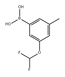 (3-(二氟甲氧基)-5-甲基苯基)硼酸,2765315-99-7,结构式