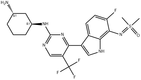 INDEX NAME NOT YET ASSIGNED Struktur