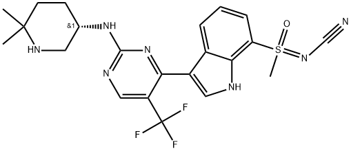 INDEX NAME NOT YET ASSIGNED Struktur