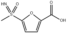 INDEX NAME NOT YET ASSIGNED Structure