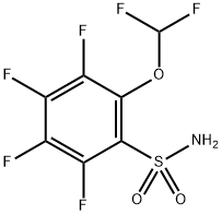 2-(二氟甲氧基)-3,4,5,6-四氟苯磺酰胺, 2773501-56-5, 结构式