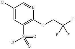 5-氯-2-(2,2,2-三氟乙氧基)吡啶-3-磺酰氯,2803476-19-7,结构式