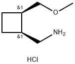 rel-((1S,2R)-2-(Methoxymethyl)cyclobutyl)methanamine hydrochloride|REL-((1S,2R)-2-(甲氧基甲基)环丁基)甲胺盐酸盐