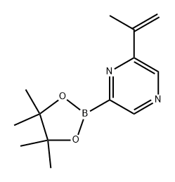 2-(prop-1-en-2-yl)-6-(4,4,5,5-tetramethyl-1,3,2-dioxaborolan-2-yl)pyrazine 化学構造式