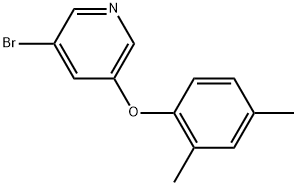 3-Bromo-5-(2,4-dimethylphenoxy)pyridine Struktur