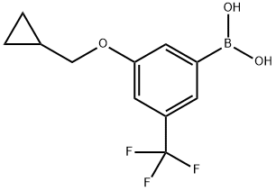 (3-(环丙基甲氧基)-5-(三氟甲基)苯基)硼酸, 2828439-81-0, 结构式