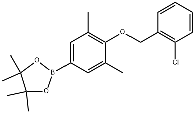 1,3,2-Dioxaborolane, 2-[4-[(2-chlorophenyl)methoxy]-3,5-dimethylphenyl]-4,4,5,5-tetramethyl-|2-(4-((2-氯苄基)氧基)-3,5-二甲基苯基)-4,4,5,5-四甲基-1,3,2-二氧硼杂环戊烷