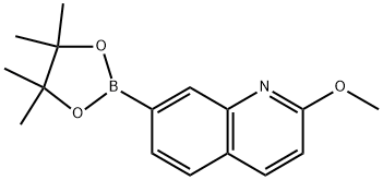 Quinoline, 2-methoxy-7-(4,4,5,5-tetramethyl-1,3,2-dioxaborolan-2-yl)- Structure