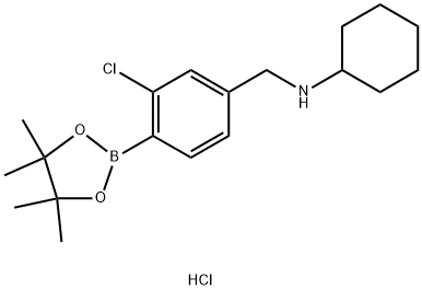 N-(3-氯-4-(4,4,5,5-四甲基-1,3,2-二氧硼杂环戊烷-2-基)苄基)环己胺盐酸盐 结构式