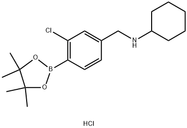 2828445-48-1 N-(3-氯-4-(4,4,5,5-四甲基-1,3,2-二氧硼杂环戊烷-2-基)苄基)环己胺盐酸盐