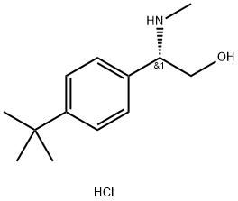 (S)-2-(4-(叔丁基)苯基)-2-(甲基氨基)乙醇盐酸盐, 2829279-68-5, 结构式