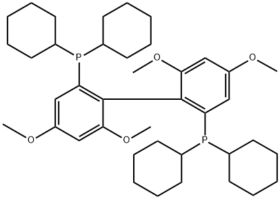 2829282-18-8 (1R)-(4,4',6,6'-四甲氧基-[1,1'-联苯]-2,2'-二基)双(二环己基膦)