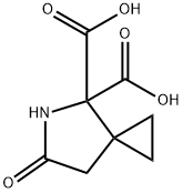 6-氧代-5-氮杂螺[2.4]庚烷-4,4-二羧酸,2856019-51-5,结构式