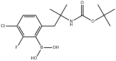 (6-(2-((tert-Butoxycarbonyl)amino)-2-methylpropyl)-3-chloro-2-fluorophenyl)boronic acid Struktur