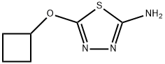 5-Cyclobutoxy-1,3,4-thiadiazol-2-amine Struktur