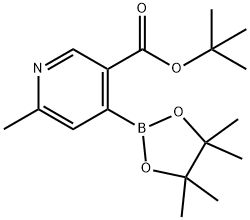 tert-Butyl 6-methyl-4-(4,4,5,5-tetramethyl-1,3,2-dioxaborolan-2-yl)nicotinate Struktur