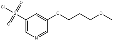 5-(3-Methoxypropoxy)pyridine-3-sulfonyl chloride Structure