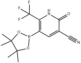 2-Oxo-5-(4,4,5,5-tetramethyl-1,3,2-dioxaborolan-2-yl)-6-(trifluoromethyl)-1,2-dihydropyridine-3-carbonitrile Struktur