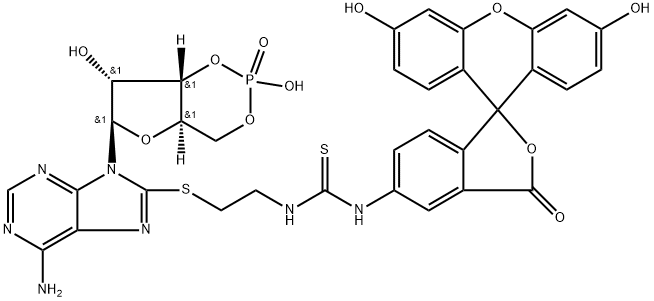 Adenosine, 8-[[2-[[[(3',6'-dihydroxy-3-oxospiro[isobenzofuran-1(3H),9'-[9H]xanthen]-5-yl)amino]thioxomethyl]amino]ethyl]thio]-, cyclic 3',5'-(hydrogen phosphate) Struktur