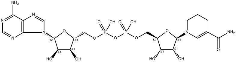1,4,5,6-tetrahydronicotinamide adenine dinucleotide 结构式