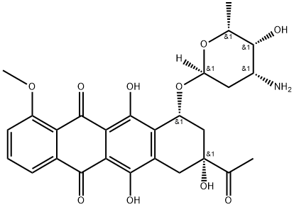 WP 900 Structure