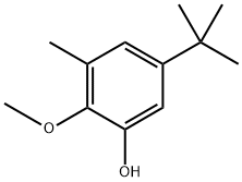 5-(tert-butyl)-2-methoxy-3-methylphenol Structure