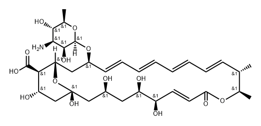 Tetrin B Structure