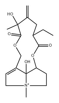 (12ξ)-13,19-Didehydro-15,20-dihydro-8,12-dihydroxy-4-methyl-11,16-dioxosenecionan-4-ium 结构式