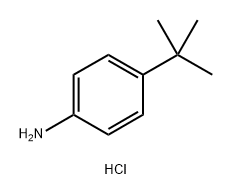 4-叔丁基苯基氯化胺,36637-47-5,结构式