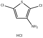 2,5-dichlorothiophen-3-amine hydrochloride 化学構造式