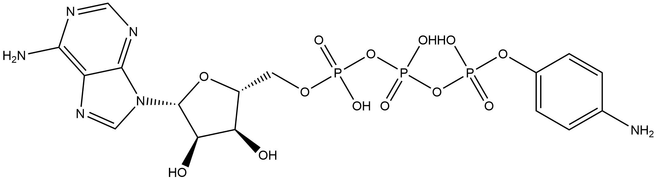 γ-Aminophenyl-ATP|