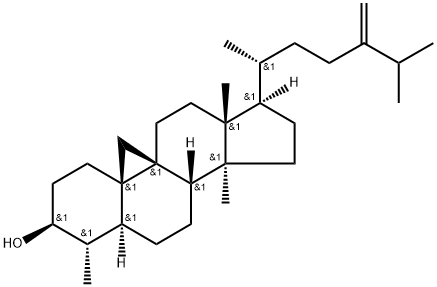 4α,14α-ジメチル-9β,19-シクロ-5α-エルゴスタ-24(28)-エン-3β-オール