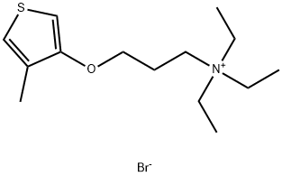 N,N,N-triethyl-3-((4-methylthiophen-3-yl)oxy)propan-1-aminium bromide|N,N,N-三乙基-3-((4-甲基噻吩-3-基)氧)丙烷-1-溴化铵