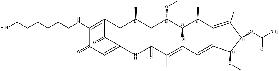 AMINOHEXYLGELDANAMYCIN,485395-71-9,结构式