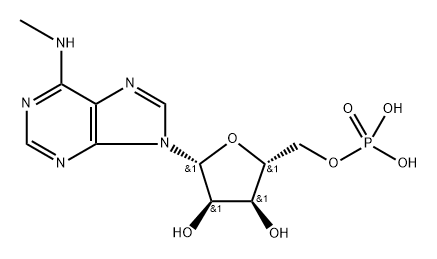 poly-N(6)-methyladenylic acid Struktur