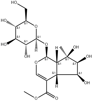 (1S)-1α-(β-D-グルコピラノシルオキシ)-5α,6α,7α-トリヒドロキシ-7-メチル-1,4aα,5,6,7,7aα-ヘキサヒドロシクロペンタ[c]ピラン-4-カルボン酸メチル 化学構造式
