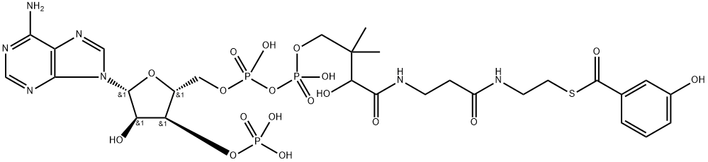 Coenzyme A, S-(3-hydroxybenzoate) Structure