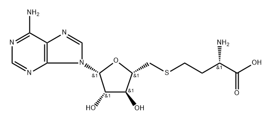 ara-A-homocysteine,55267-52-2,结构式