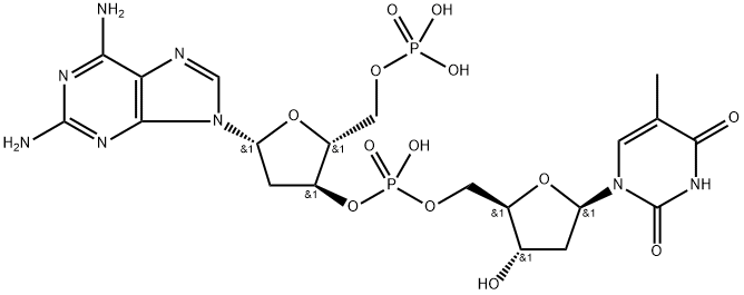 poly(thymidylyl-(5'-3')-2-amino-2-deoxy-5'-adenylic acid) 结构式