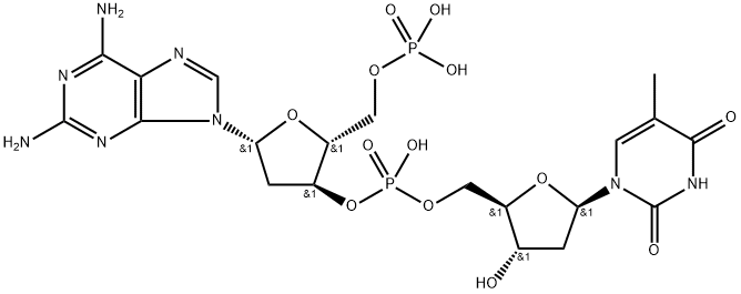 poly(thymidylyl-(5'-3')-2-amino-2-deoxy-5'-adenylic acid) 化学構造式